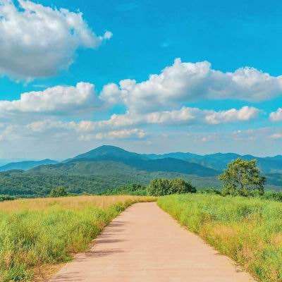 中看不中用?被无数军迷奉为最酷战斗机的F-14为何会被F-18取代?