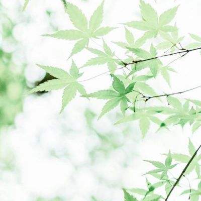 “买中国就是买安全”！机构密集发声
