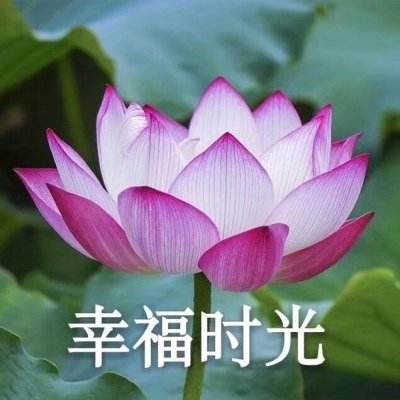 旧手机回收一天一个价，曾经只值10元的二手机现在回收价500元