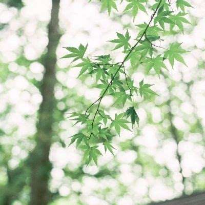 黄金正重演“2008年剧本”？华尔街大鳄看涨至11400美元！