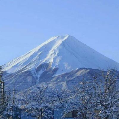 张雪峰曾称最希望的死法是猝死