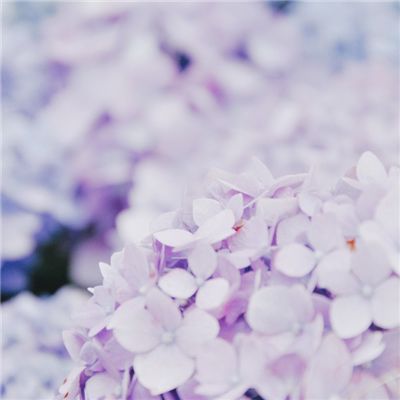 电装开发电池温控模块 助力电动...
